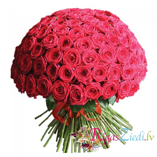 101 sarkana roze