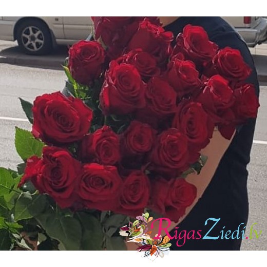 Explorer rozes