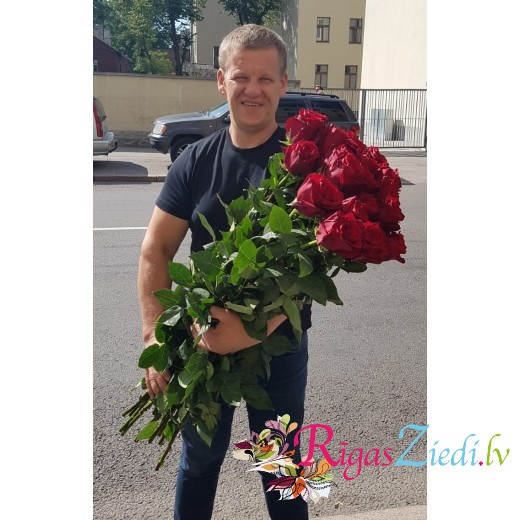 Explorer rozes