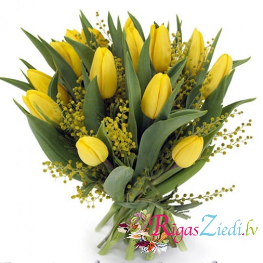 dzeltenas tulpes ar mimozu