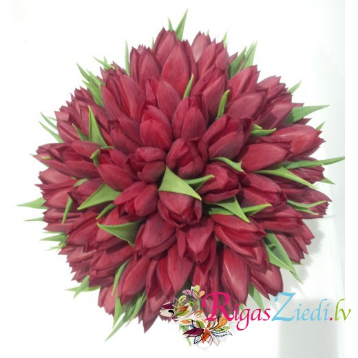 101 sarkana tulpe